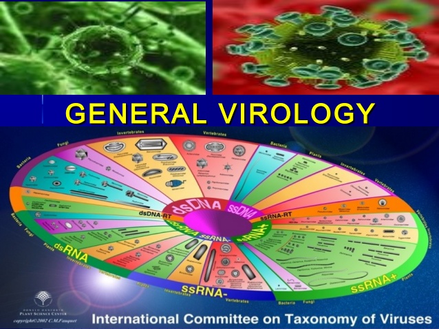 virology-prac-microbiology-1-638.jpg