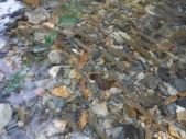 20150809-CS-013.jpg