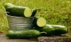 cucumbers-1588945__180.jpg