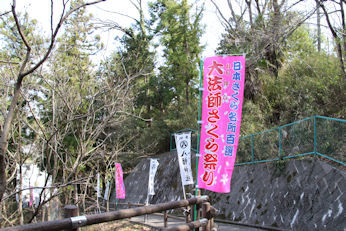 3/31  　　大法師桜まつり　公園への道　階段