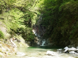 201804290DSC00836.jpg