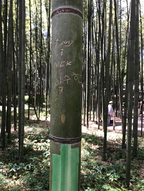 嵐山で人力車サービスを提供する会社、「えびす屋嵐山」は5日、Facebookで、韓国語や中国語、英語で書かれた落書きの写真を掲載し、「竹が泣いています」との一文を添えた。