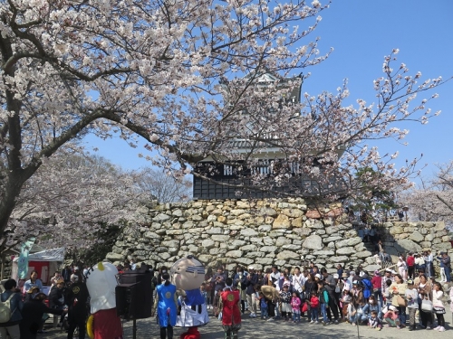 浜松城公園　桜まつり
