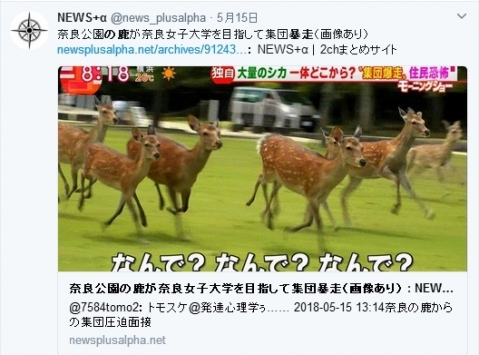 奈良鹿の大暴走