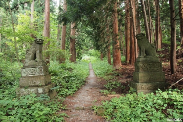 2015_0810_4.jpg