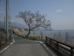 琵琶湖野離子川