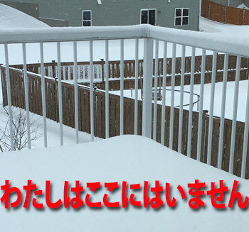 snow04151801.jpg