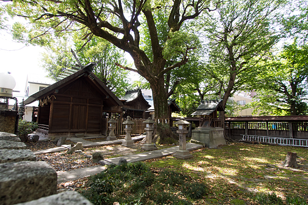 城西八坂神社境内の風景