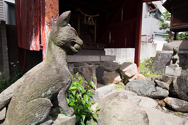 上宿山神社稲荷社狐