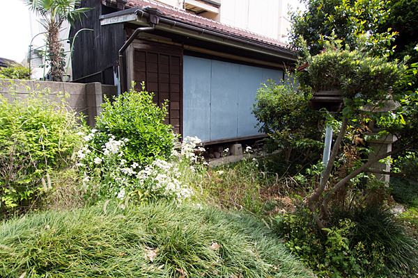 上宿山神社社務所と草木