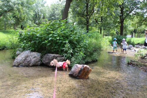鶴見緑地　水遊び