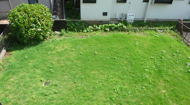 ■物件番号7124　憧れの広ーい芝生の庭付の一戸建て賃貸！３ＬＤＫ！９７平米！Ｐ無料１０万円！