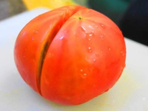 「スーパーフルーツトマト」⑥
