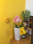 20180501141018dec.jpeg